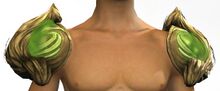 Wurmslayer's Epaulets male human.jpg