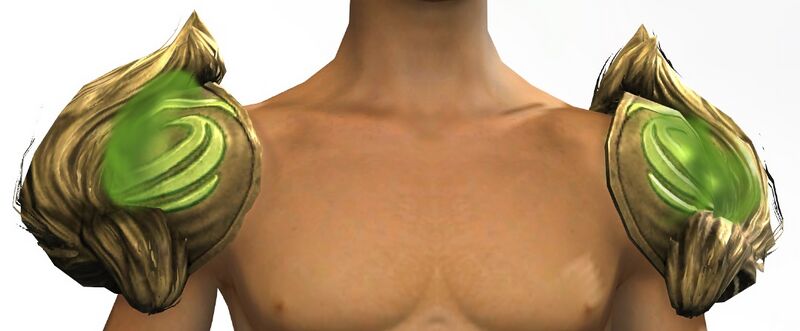 File:Wurmslayer's Epaulets male human.jpg