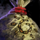 Favor of the Zephyrites.png