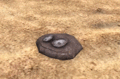 Thumbnail for version as of 15:10, 17 June 2015