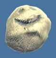 Thumbnail for version as of 19:02, 11 February 2017
