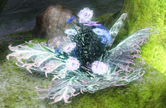 Morgan's Orchid.jpg