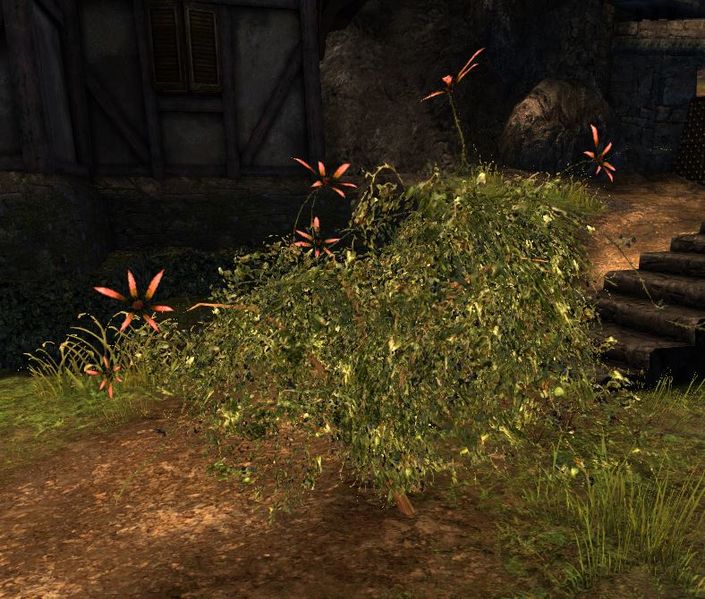 File:Red Flower Bush Transformation.JPG
