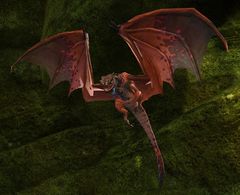 Vampire Bat.jpg