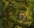 Auric Basin chests The Falls 1.jpg