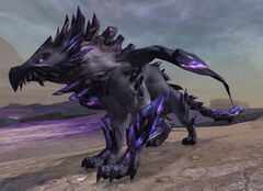 Branded Griffon.jpg