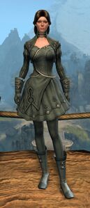 Appearance on light armor.