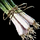 Green Onion.png