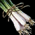 Green Onion.png