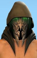 Grenth Hood Skin close-up.jpg
