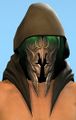 Grenth Hood Skin close-up.jpg