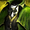 Heritage Greatcoat.png