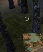 Hidden Carrot Hunt 2 map.jpg