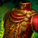 Illustrious Doublet.png