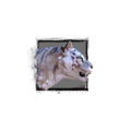 Thumbnail for version as of 19:51, 28 February 2022