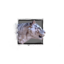 Juvenile White Tiger.png