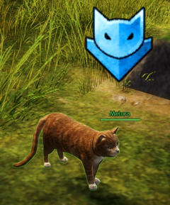Melora2.png