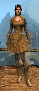 Appearance on light armor.
