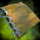 Necrotic Graft.png