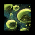 Thumbnail for version as of 23:08, 27 June 2012