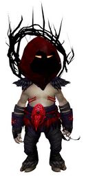 Raiment of the Lich Outfit