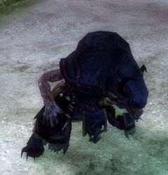 Risen Thrall (charr hooded).jpg
