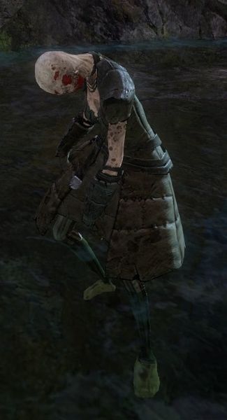 File:Risen Thrall (human female).jpg