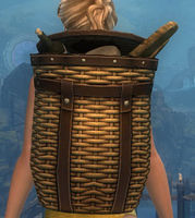 Savory Chef's Backpack.jpg