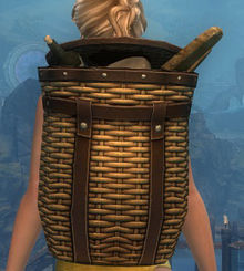 Savory Chef's Backpack.jpg