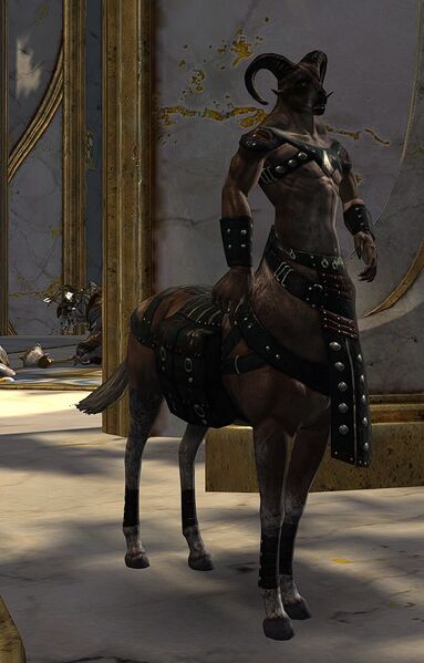 File:Scholar of Balance Mentor.jpg