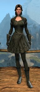 Appearance on light armor.