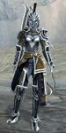 Sylvari female