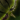 Zhaitan's Flight.png