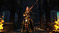 2011 February Norn with Rifle.jpg