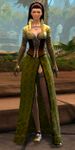 Advisor Evellana.jpg