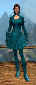 Appearance on light armor.