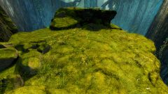 Elder's Roost.jpg