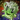Endless Choya Dance Tonic.png