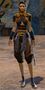 Hamaseen female 1.jpg
