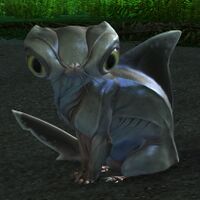 Kitshark Pup (sitting).jpg