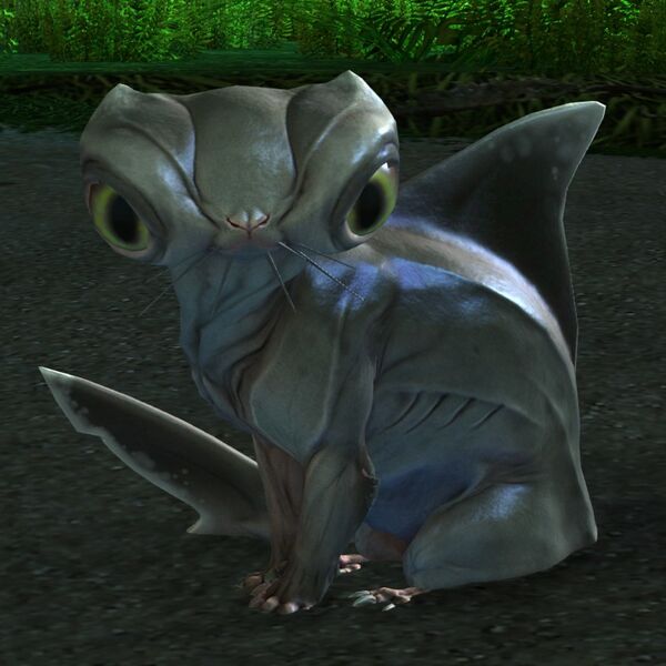 File:Kitshark Pup (sitting).jpg