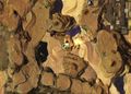 Thumbnail for version as of 22:39, 23 December 2017