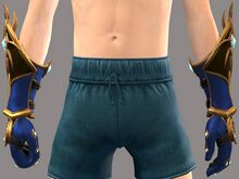 Mists-Grasper Gloves.jpg