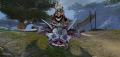 Olmakhan Earthstalker (male skimmer).jpg