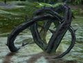 Stranglethorn.jpg