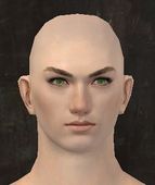 Unique human male face front 1.jpg