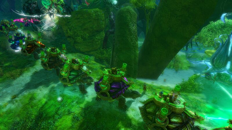 File:User-FoF turtle-parades 2022 9.jpg