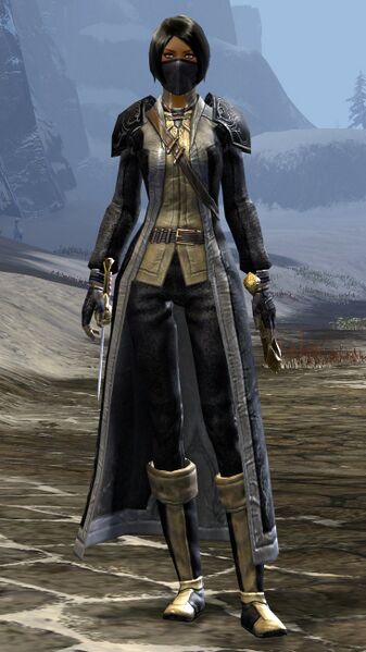 File:Veteran Rogue.jpg
