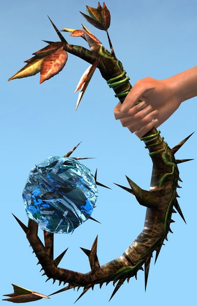 File:Warden Focus.jpg
