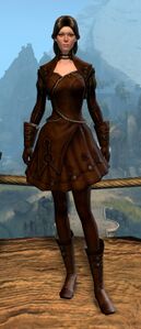 Appearance on light armor.